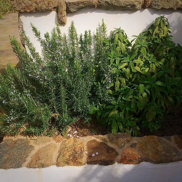 Le Maioliche Hotel Scauri  0*, Scauri (Sicily)