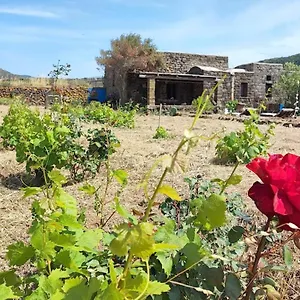 Biodammuso Casa vacanze